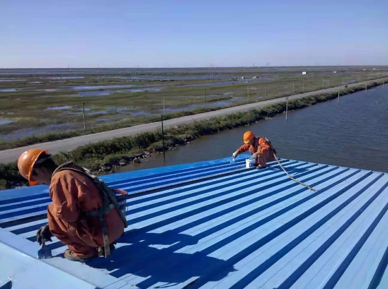 晋安钢结构屋面漏水原因